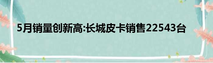 5月销量创新高:长城皮卡销售22543台