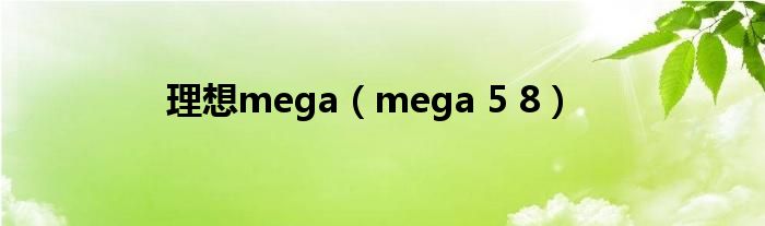  理想mega（mega 5 8）