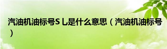  汽油机油标号S乚是什么意思（汽油机油标号）