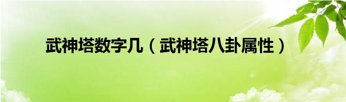  武神塔数字几（武神塔八卦属性）