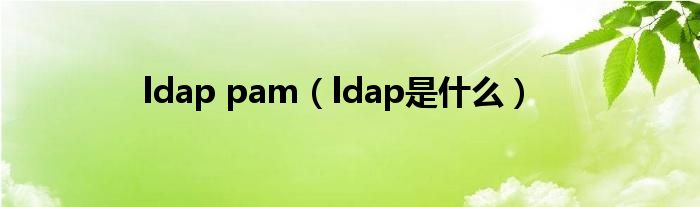  ldap pam（ldap是什么）