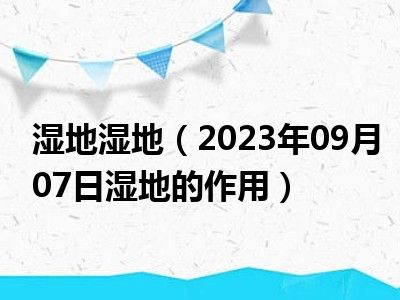 湿地湿地（2023年09月07日湿地的作用）