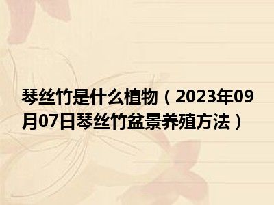 琴丝竹是什么植物（2023年09月07日琴丝竹盆景养殖方法）