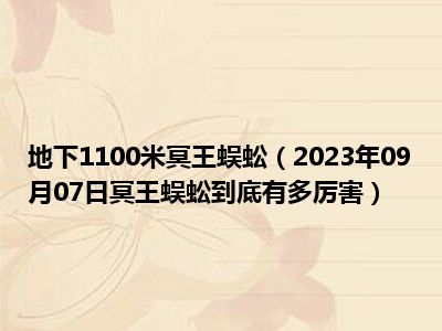 地下1100米冥王蜈蚣（2023年09月07日冥王蜈蚣到底有多厉害）