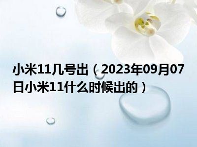 小米11几号出（2023年09月07日小米11什么时候出的）