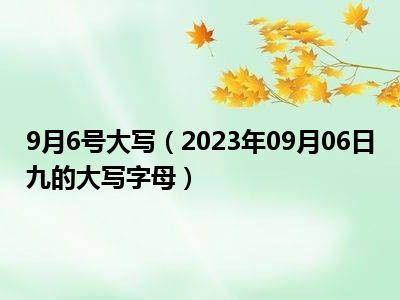 9月6号大写（2023年09月06日九的大写字母）