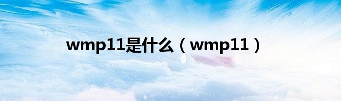  wmp11是什么（wmp11）