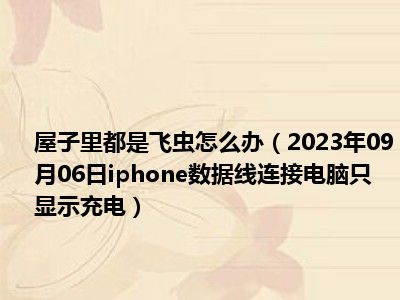 屋子里都是飞虫怎么办（2023年09月06日iphone数据线连接电脑只显示充电）