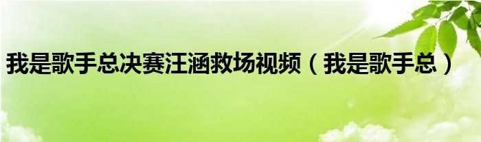  我是歌手总决赛汪涵救场视频（我是歌手总）