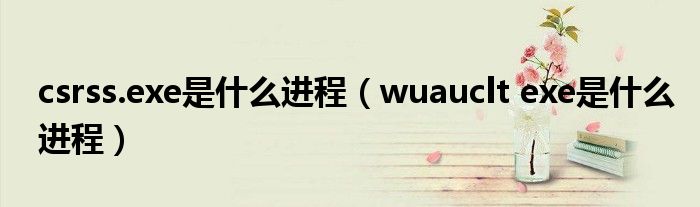  csrss.exe是什么进程（wuauclt exe是什么进程）