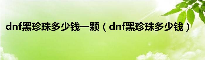  dnf黑珍珠多少钱一颗（dnf黑珍珠多少钱）