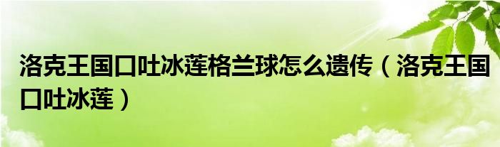  洛克王国口吐冰莲格兰球怎么遗传（洛克王国口吐冰莲）