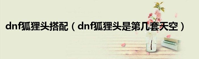  dnf狐狸头搭配（dnf狐狸头是第几套天空）