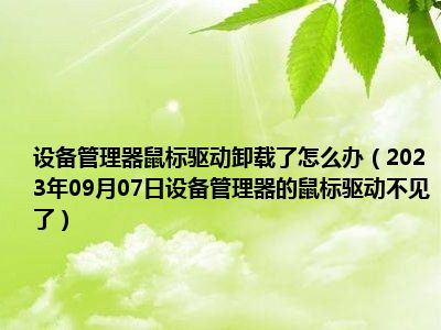 设备管理器鼠标驱动卸载了怎么办（2023年09月07日设备管理器的鼠标驱动不见了）