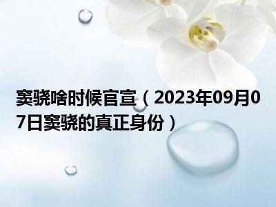 窦骁啥时候官宣（2023年09月07日窦骁的真正身份）