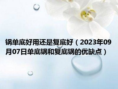 锅单底好用还是复底好（2023年09月07日单底锅和复底锅的优缺点）