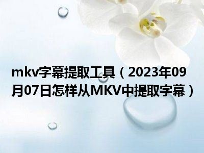 mkv字幕提取工具（2023年09月07日怎样从MKV中提取字幕）