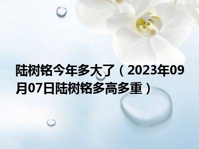 陆树铭今年多大了（2023年09月07日陆树铭多高多重）