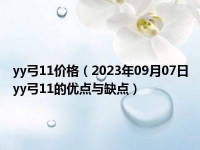 yy弓11价格（2023年09月07日yy弓11的优点与缺点）