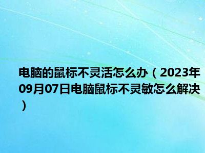 电脑的鼠标不灵活怎么办（2023年09月07日电脑鼠标不灵敏怎么解决）