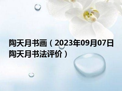 陶天月书画（2023年09月07日陶天月书法评价）