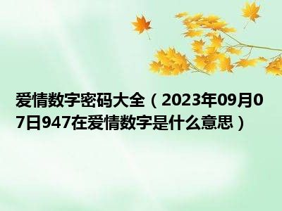 爱情数字密码大全（2023年09月07日947在爱情数字是什么意思）