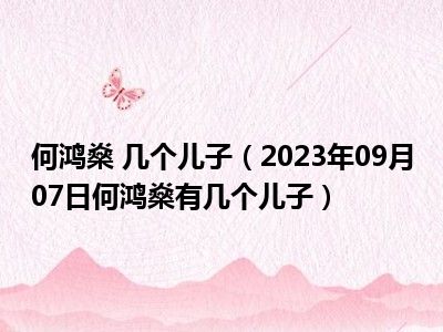 何鸿燊 几个儿子（2023年09月07日何鸿燊有几个儿子）