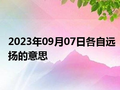 2023年09月07日各自远扬的意思