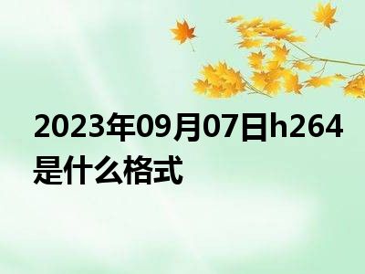 2023年09月07日h264是什么格式