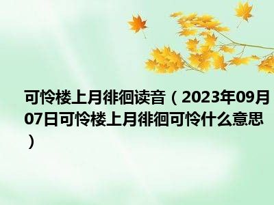 可怜楼上月徘徊读音（2023年09月07日可怜楼上月徘徊可怜什么意思）