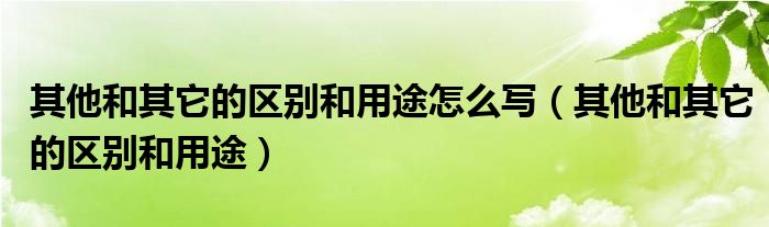  其他和其它的区别和用途怎么写（其他和其它的区别和用途）