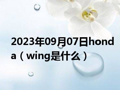 2023年09月07日honda（wing是什么）