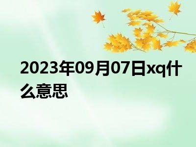 2023年09月07日xq什么意思