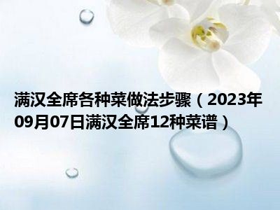 满汉全席各种菜做法步骤（2023年09月07日满汉全席12种菜谱）