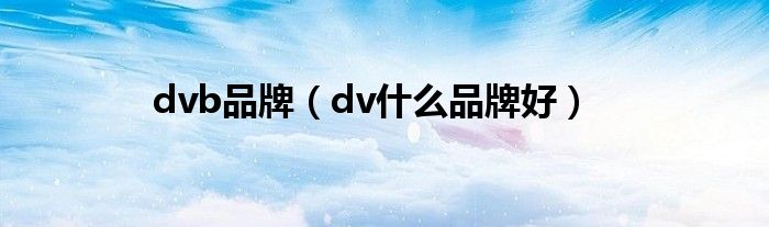  dvb品牌（dv什么品牌好）