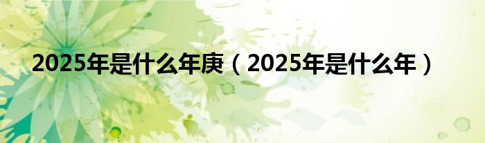  2025年是什么年庚（2025年是什么年）