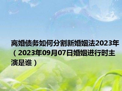 离婚债务如何分割新婚姻法2023年（2023年09月07日婚姻进行时主演是谁）