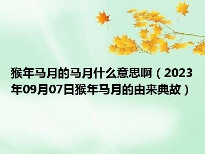 猴年马月的马月什么意思啊（2023年09月07日猴年马月的由来典故）