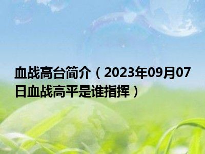 血战高台简介（2023年09月07日血战高平是谁指挥）