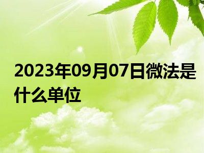 2023年09月07日微法是什么单位