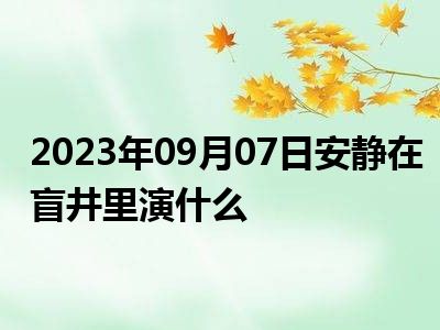 2023年09月07日安静在盲井里演什么