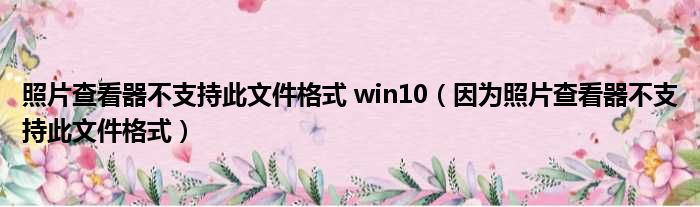 照片查看器不支持此文件格式 win10（因为照片查看器不支持此文件格式）