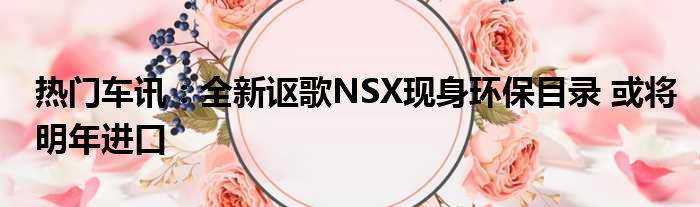 热门车讯：全新讴歌NSX现身环保目录 或将明年进口