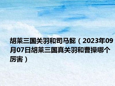 胡莱三国关羽和司马懿（2023年09月07日胡莱三国真关羽和曹操哪个厉害）