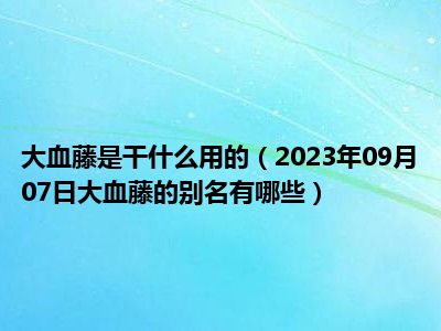 大血藤是干什么用的（2023年09月07日大血藤的别名有哪些）