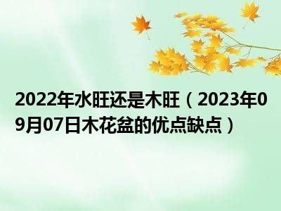 2022年水旺还是木旺（2023年09月07日木花盆的优点缺点）