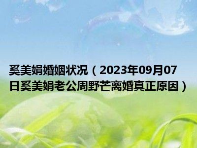 奚美娟婚姻状况（2023年09月07日奚美娟老公周野芒离婚真正原因）