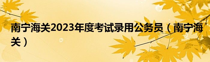  南宁海关2023年度考试录用公务员（南宁海关）