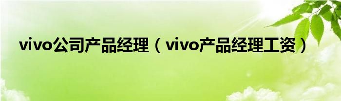  vivo公司产品经理（vivo产品经理工资）