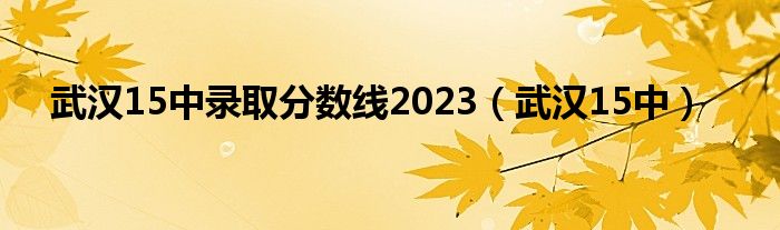  武汉15中录取分数线2023（武汉15中）